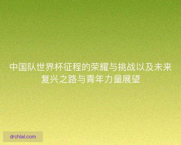 中国队世界杯征程的荣耀与挑战以及未来复兴之路与青年力量展望