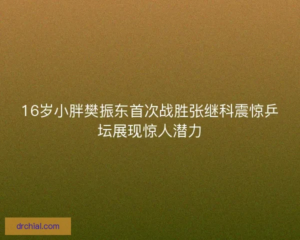 16岁小胖樊振东首次战胜张继科震惊乒坛展现惊人潜力