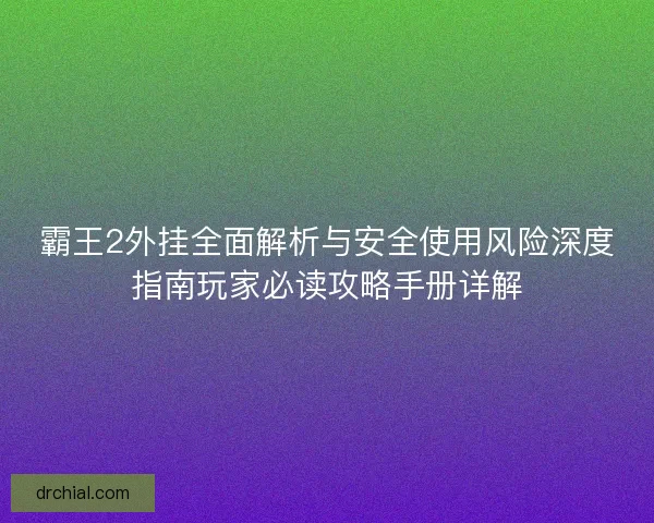 霸王2外挂全面解析与安全使用风险深度指南玩家必读攻略手册详解 霸王2外挂全面解析与安全使用风险深度指南玩家必读攻略手册详解