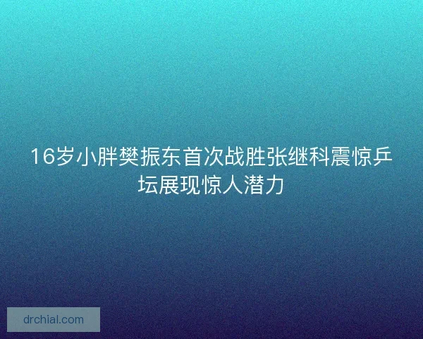 16岁小胖樊振东首次战胜张继科震惊乒坛展现惊人潜力 16岁小胖樊振东首次战胜张继科震惊乒坛展现惊人潜力