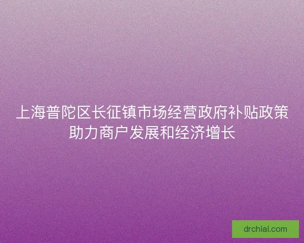 上海普陀区长征镇市场经营政府补贴政策助力商户发展和经济增长
