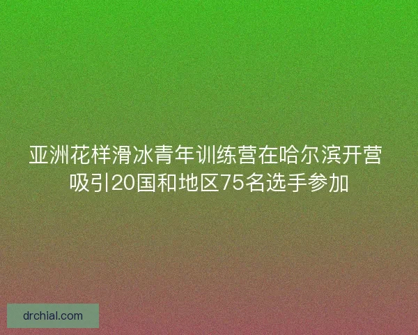 亚洲花样滑冰青年训练营在哈尔滨开营 吸引20国和地区75名选手参加 亚洲花样滑冰青年训练营在哈尔滨开营 吸引20国和地区75名选手参加